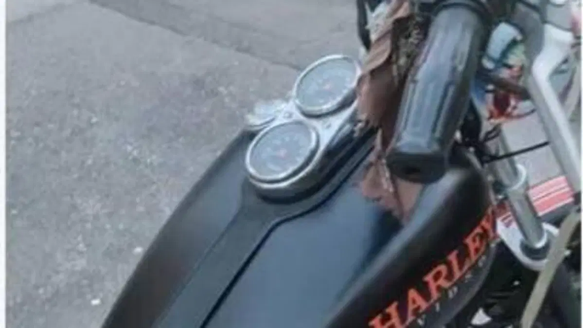 Harley-Davidson   (3)