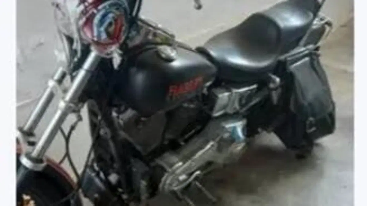 Harley-Davidson   (4)