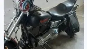 Harley-Davidson   (4)