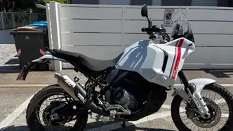 Ducati DesertX (2022 - 25) usata