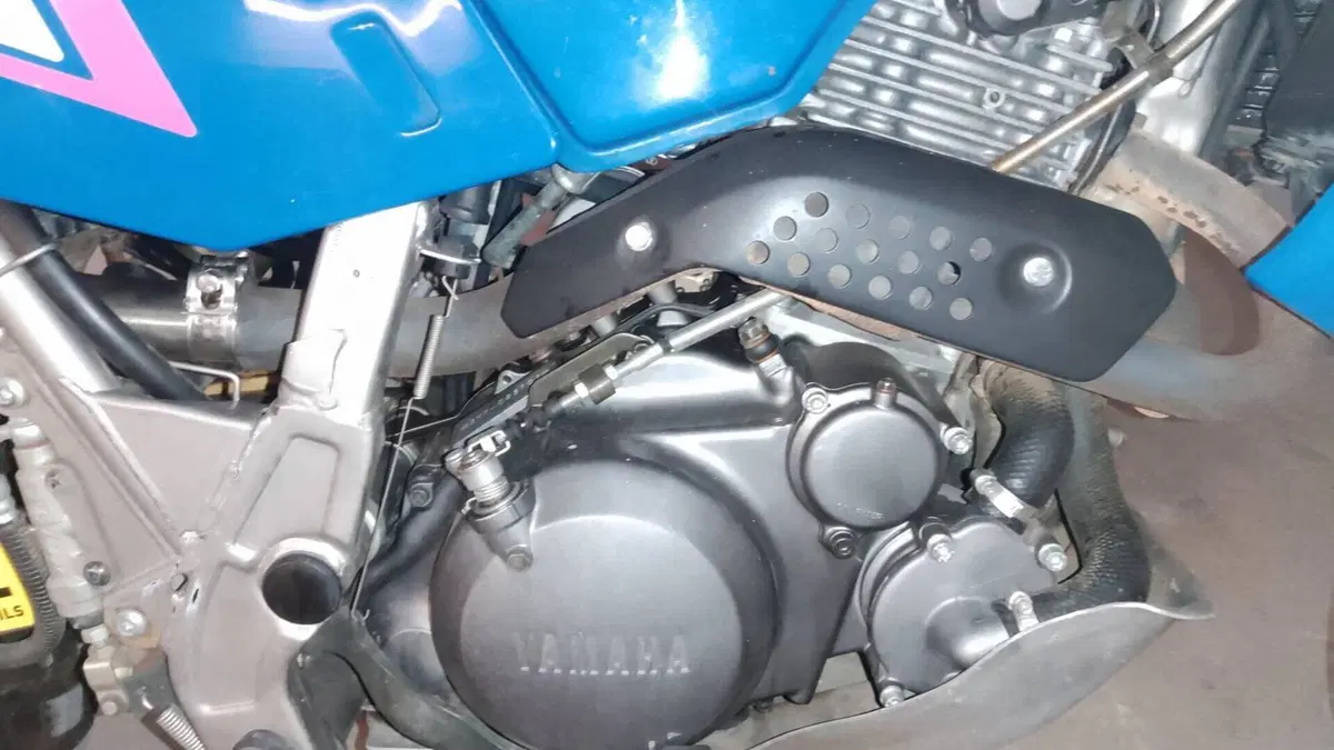 Yamaha   (6)