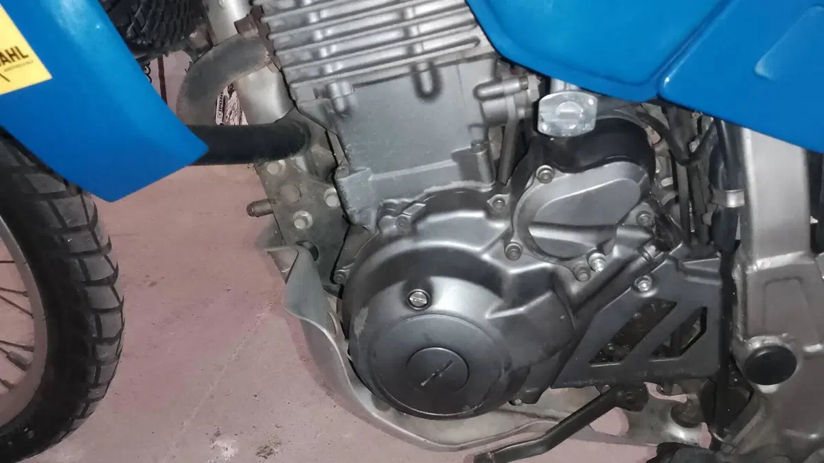 Yamaha   (7)