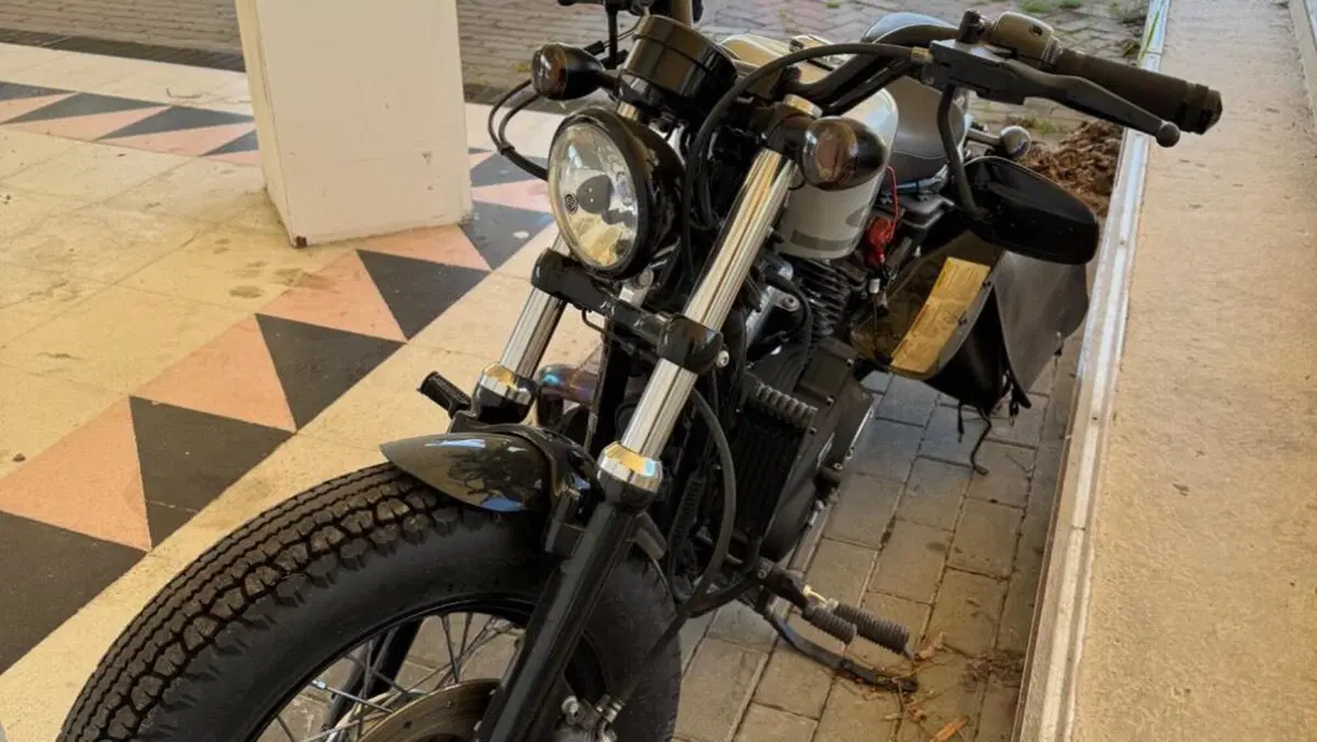 Harley-Davidson 1200 Forty-Eight (2010 - 15)  (3)