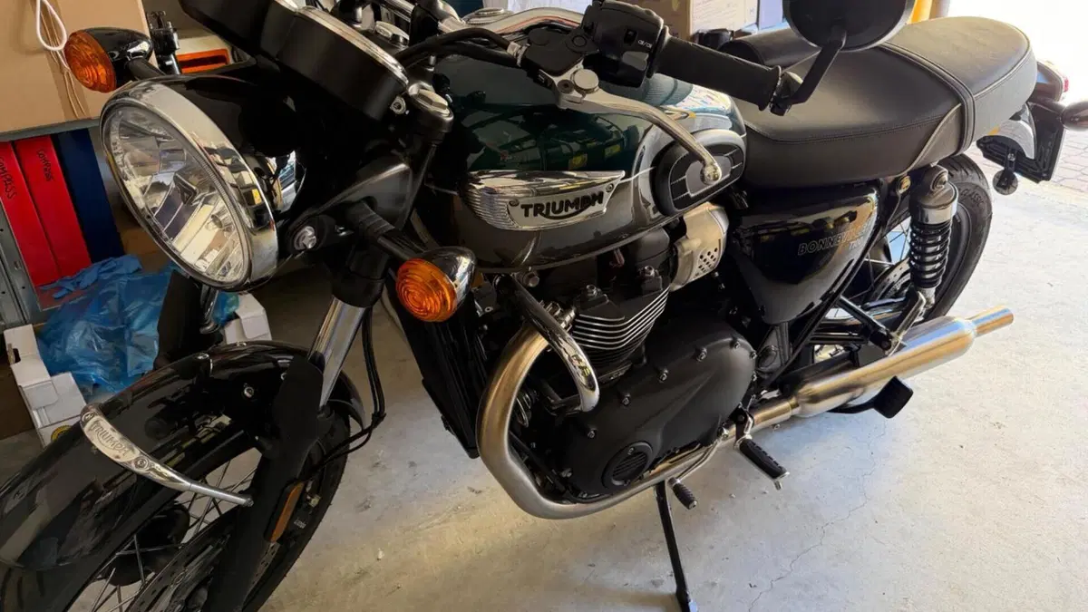 Triumph Bonneville T100 (2021 - 25) 
