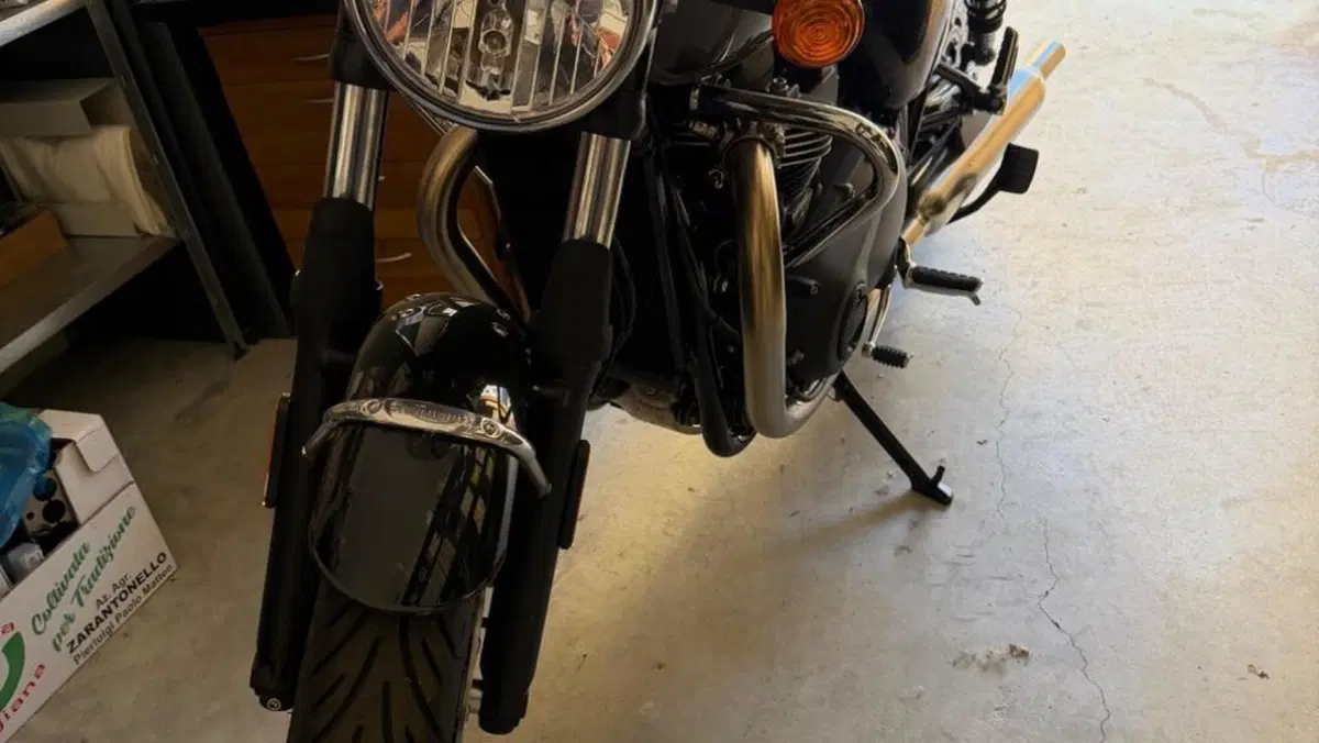 Triumph Bonneville T100 (2021 - 25)  (2)