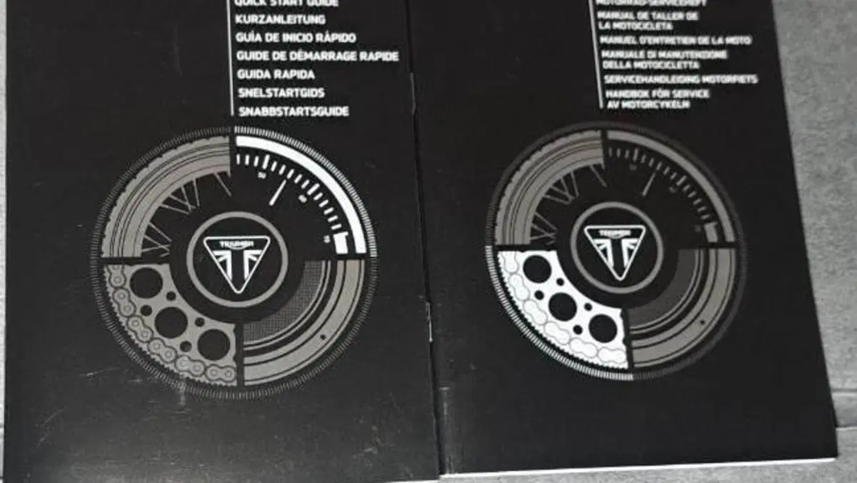 Triumph Trident 660 (2021 - 24)  (7)