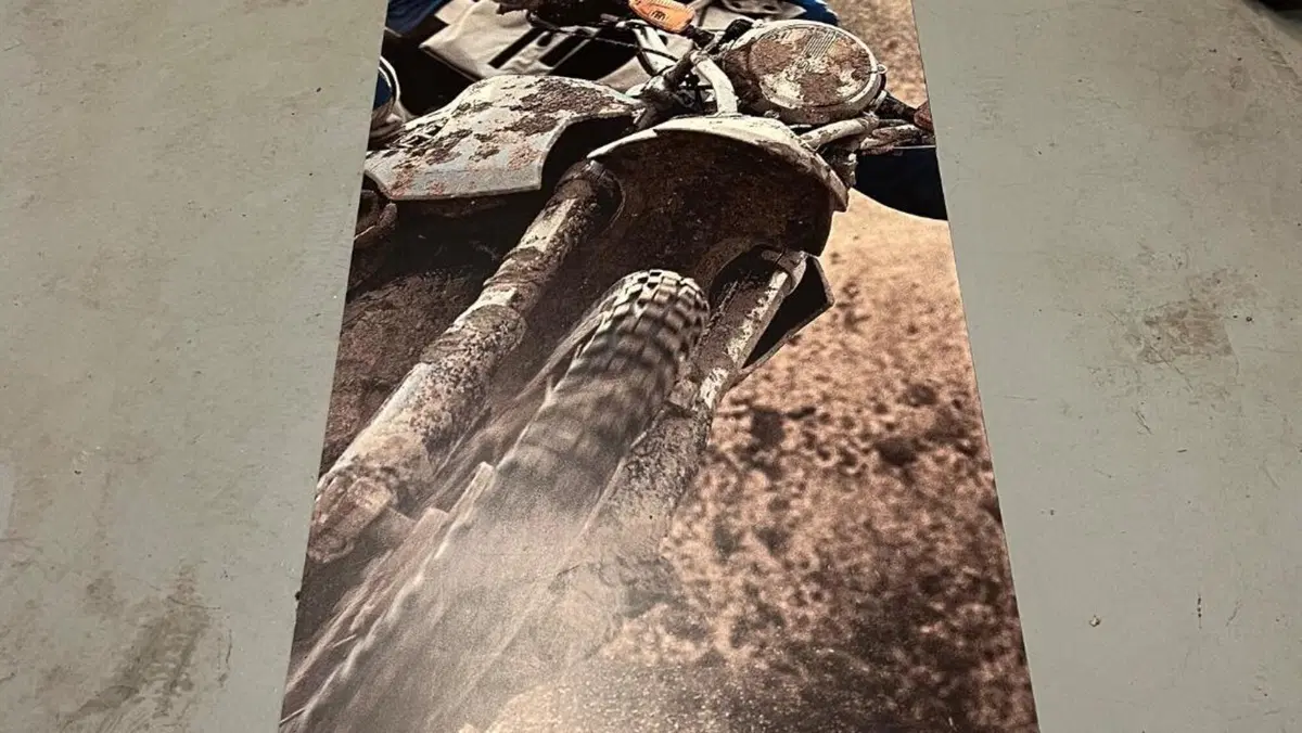Bmw HP2 Enduro  (13)