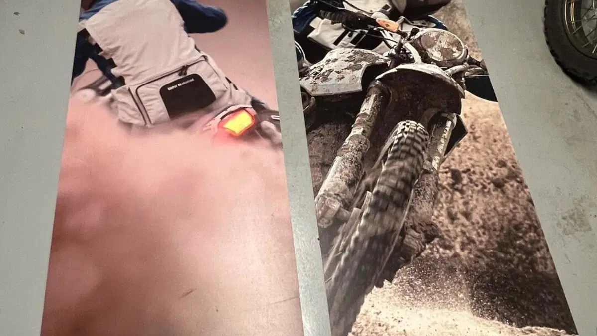 Bmw HP2 Enduro  (14)