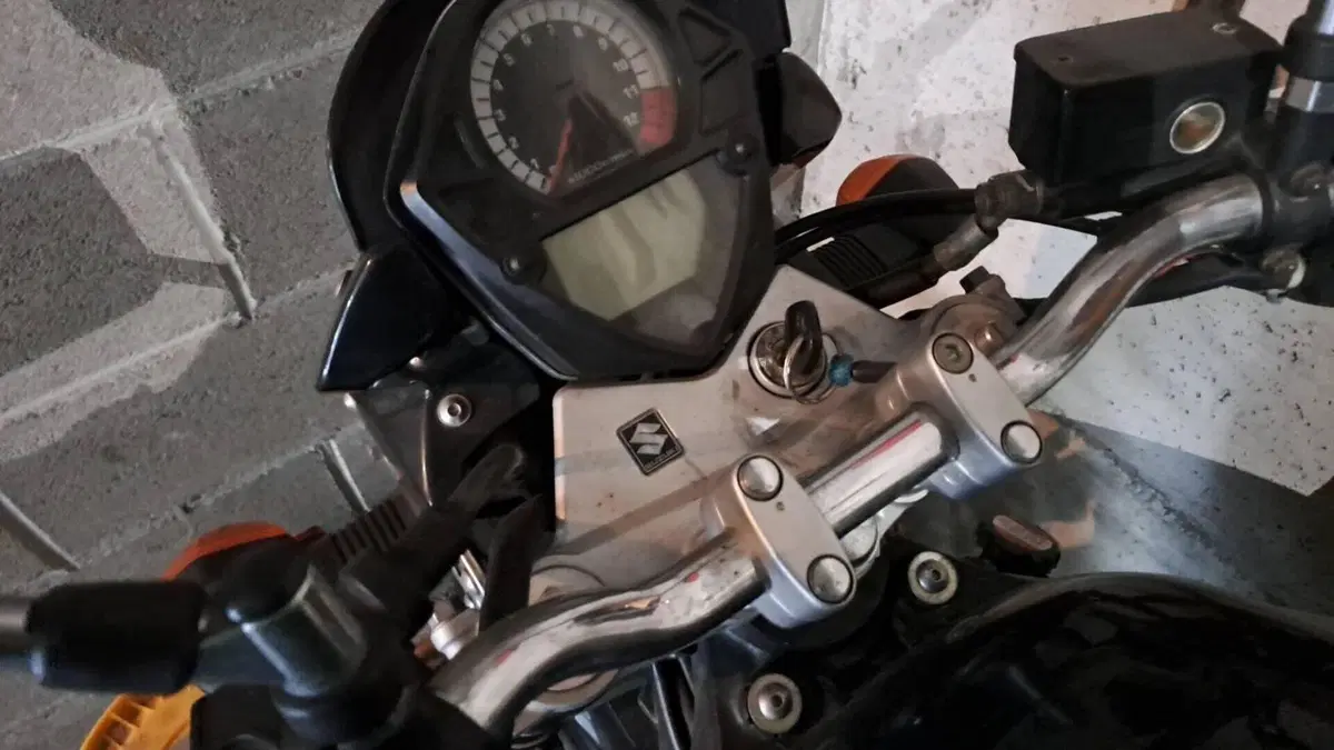 Suzuki SV 650 (2003 - 06)  (7)