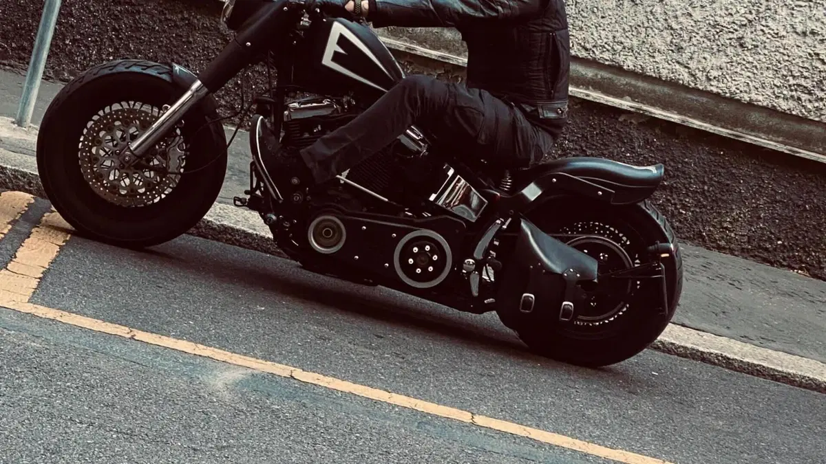 Harley-Davidson 1340 Heritage Classic (1984 - 98) - FLSTC  (2)