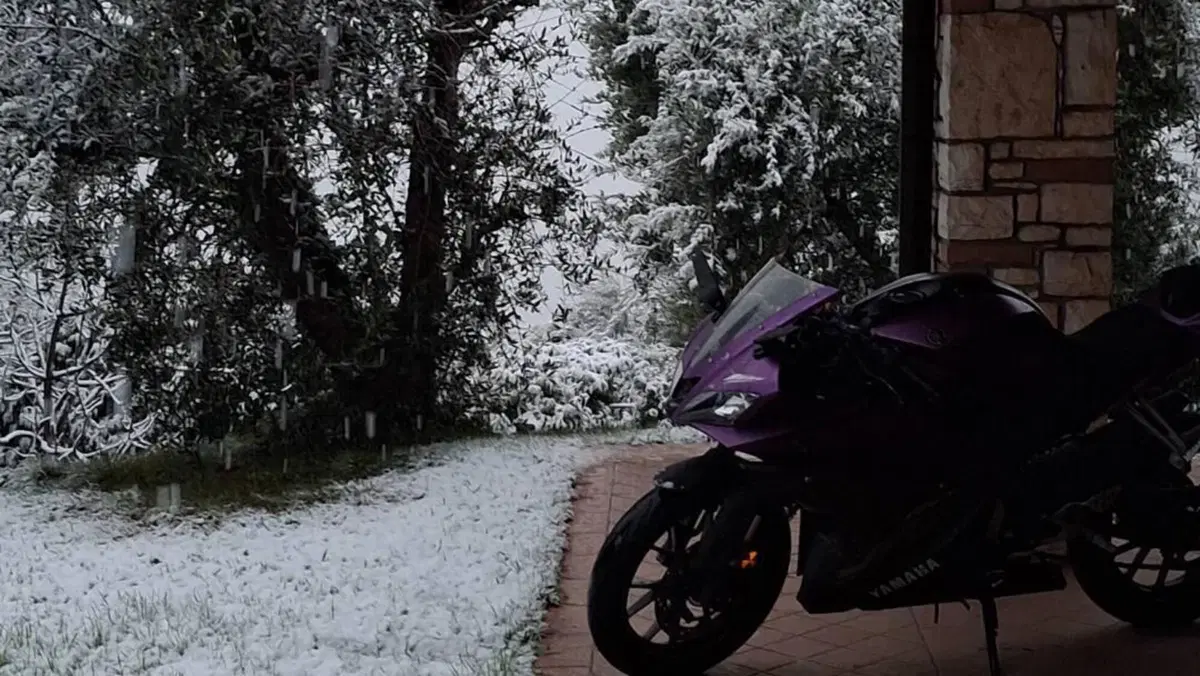 Yamaha YZF R125 (2017 - 18)  (5)