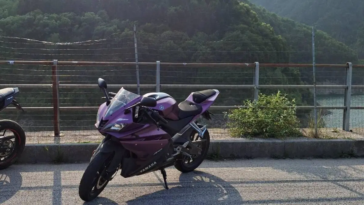 Yamaha YZF R125 (2017 - 18)  (6)