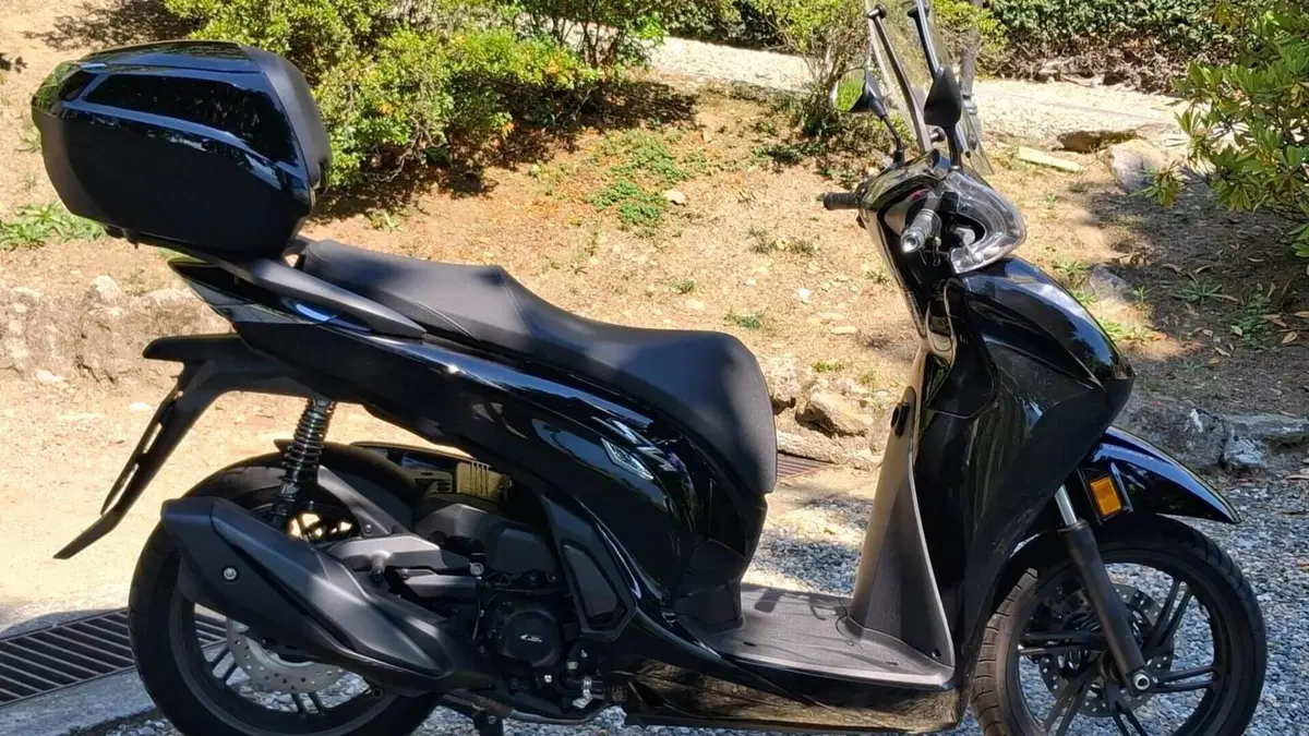 Honda SH 350 (2021 - 24)  (3)