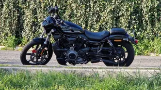 Harley-Davidson Nightster Special (2023 - 26) usata