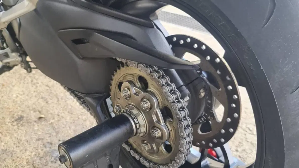 Ducati Multistrada V4 RS (2024 - 25)  (7)