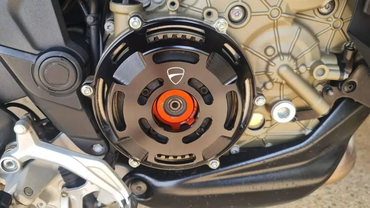 Ducati Multistrada V4 RS (2024 - 25)  (8)