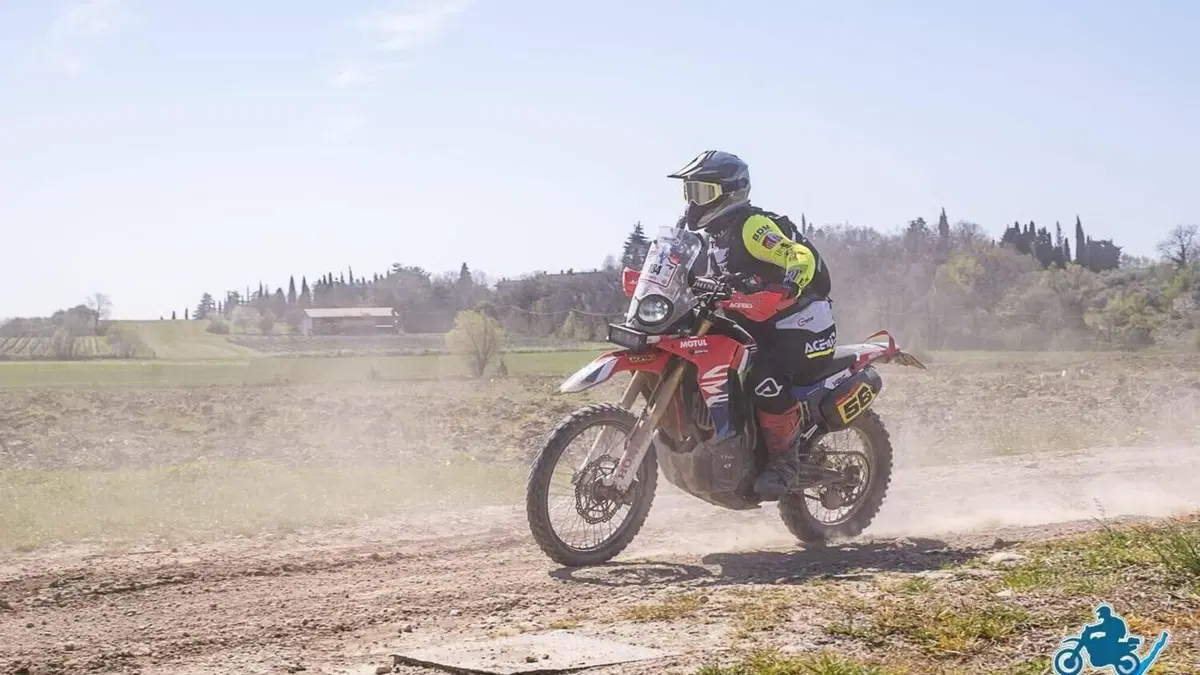 Honda CRF 250 Rally (2017 - 20)  (2)