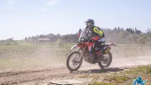 Honda CRF 250 Rally (2017 - 20)  (2)