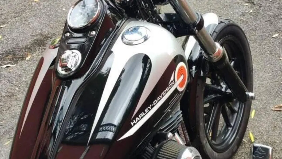 Harley-Davidson 1690 Street Bob Special (2015 - 16) - FXDB  (3)