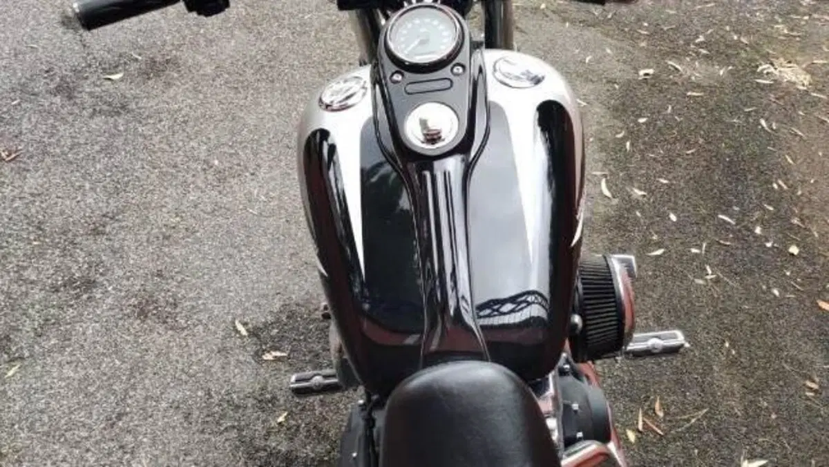 Harley-Davidson 1690 Street Bob Special (2015 - 16) - FXDB  (6)