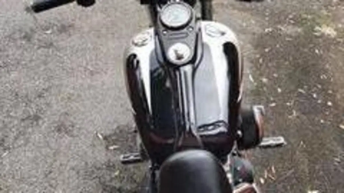 Harley-Davidson 1690 Street Bob Special (2015 - 16) - FXDB  (11)