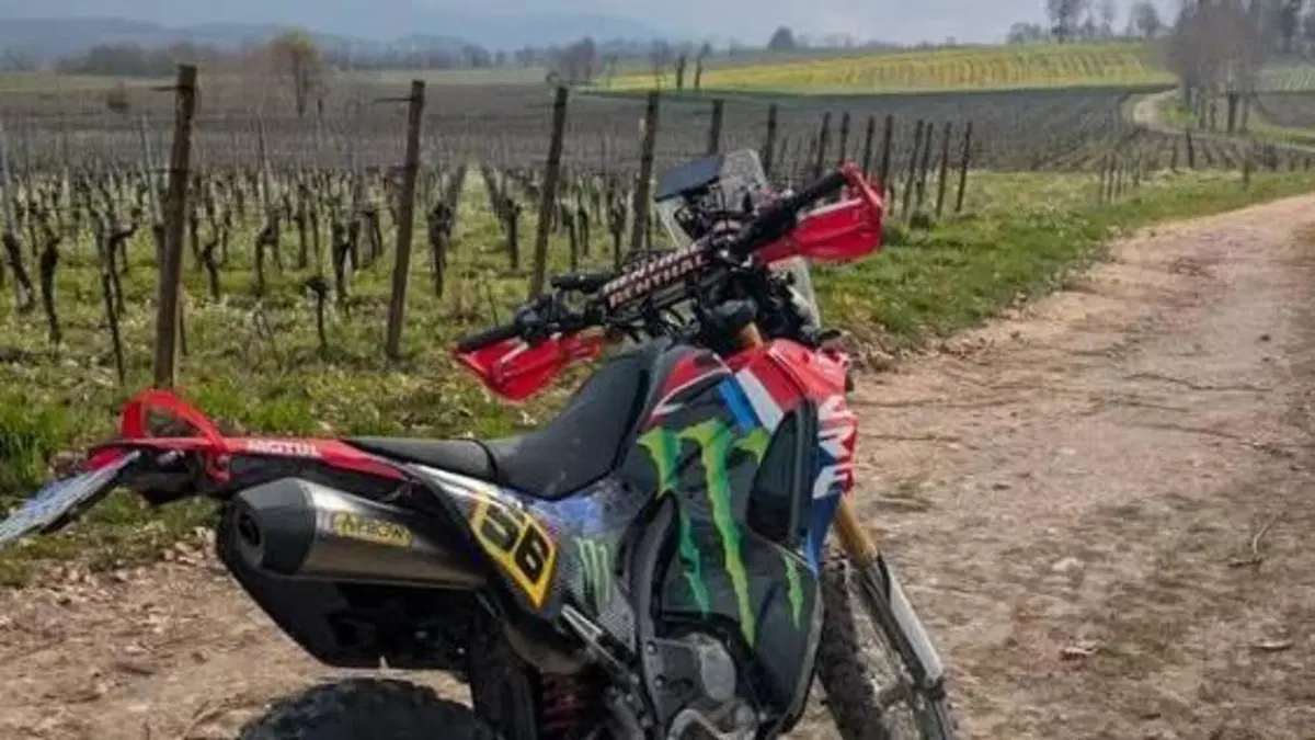 Honda CRF 250 Rally (2017 - 20)  (3)