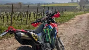 Honda CRF 250 Rally (2017 - 20)  (3)