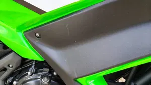 Kawasaki Ninja 650 (2025 - 26)  (11)