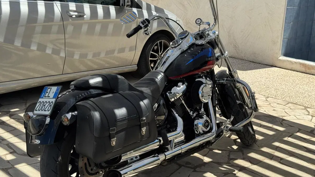 Harley-Davidson 107 Low Rider (2018 - 20) - FXLR  (3)