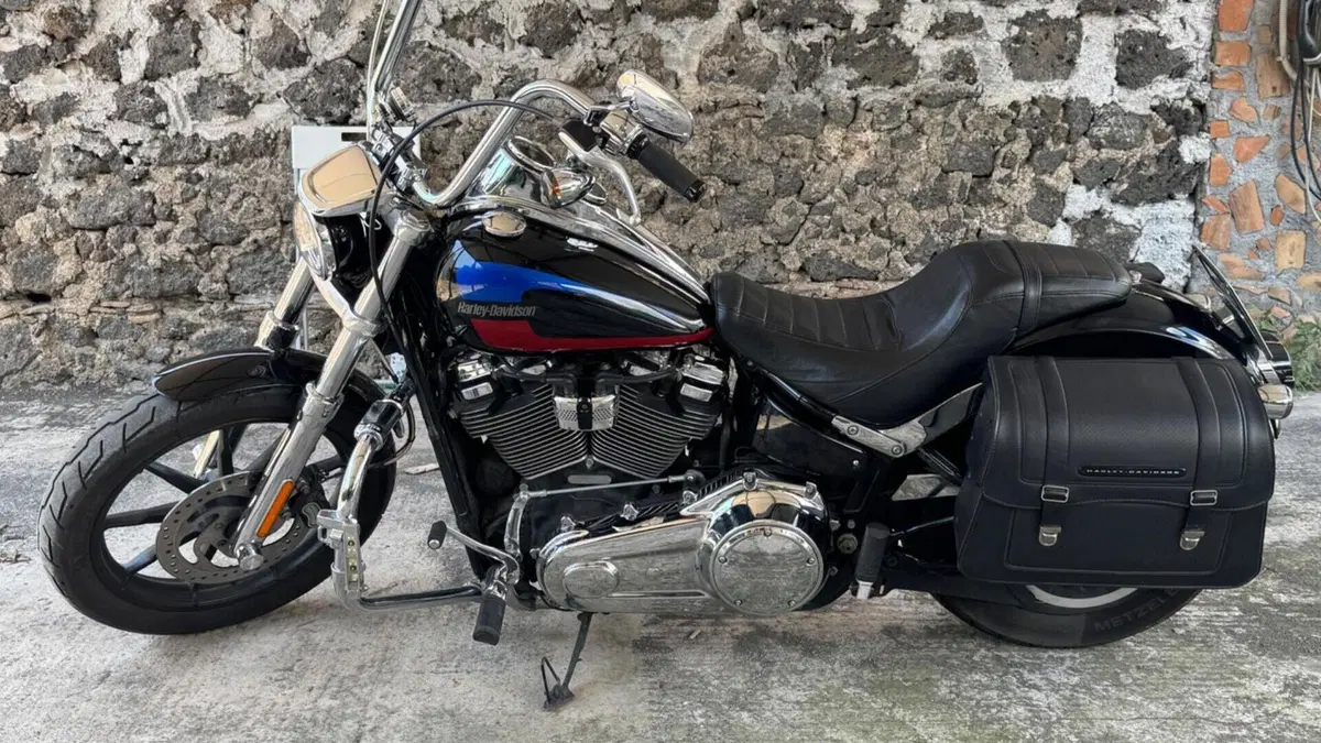 Harley-Davidson 107 Low Rider (2018 - 20) - FXLR  (4)