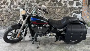 Harley-Davidson 107 Low Rider (2018 - 20) - FXLR  (4)