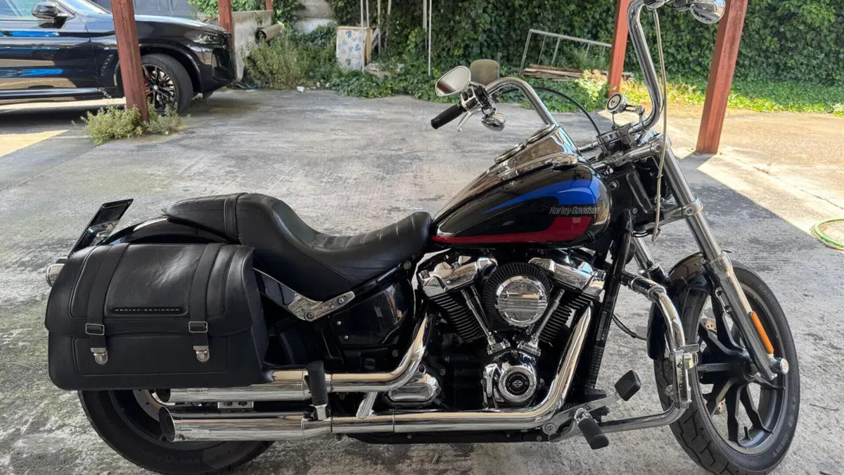 Harley-Davidson 107 Low Rider (2018 - 20) - FXLR  (5)