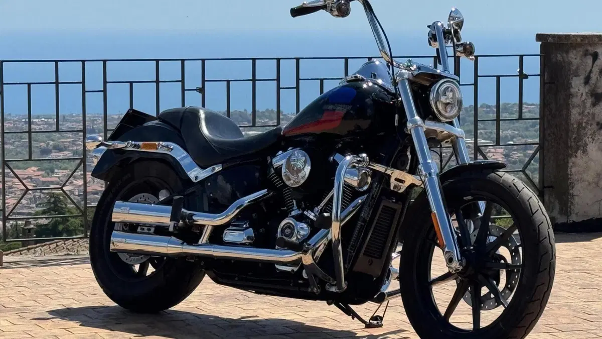 Harley-Davidson 107 Low Rider (2018 - 20) - FXLR  (7)