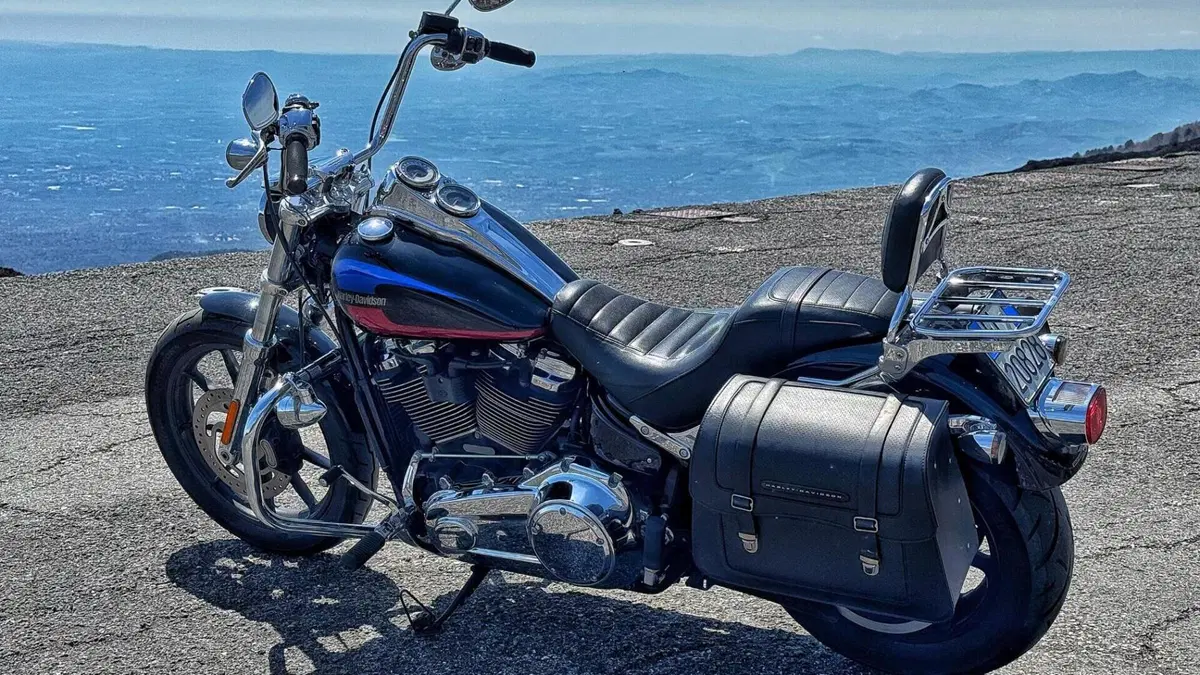 Harley-Davidson 107 Low Rider (2018 - 20) - FXLR  (8)