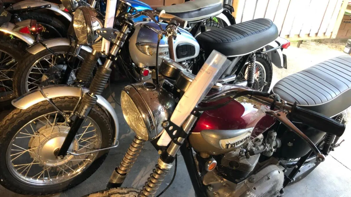 Triumph  