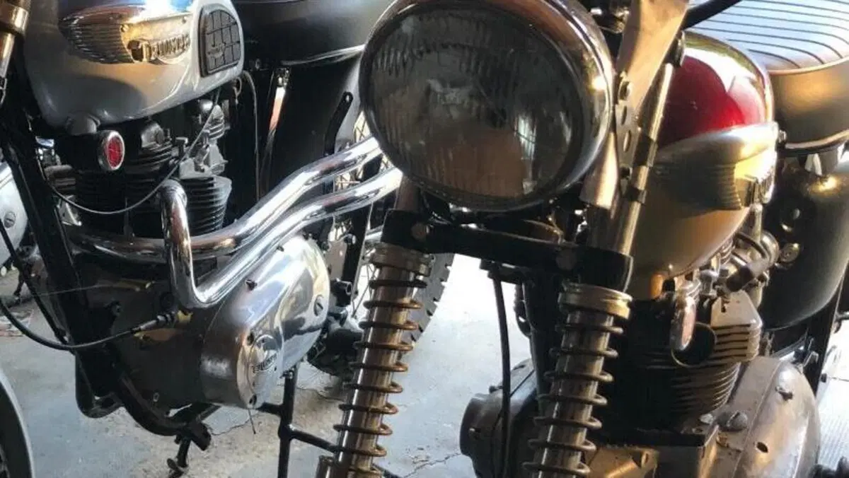 Triumph   (3)