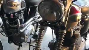 Triumph   (3)