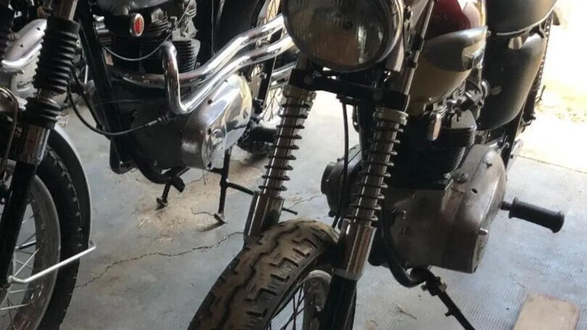 Triumph   (5)