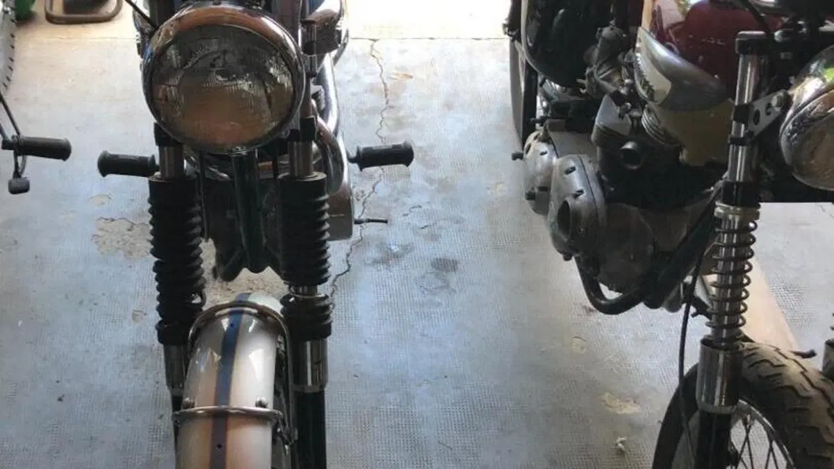 Triumph   (6)