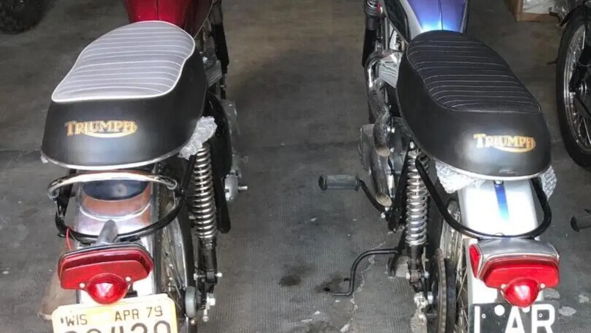 Triumph   (7)