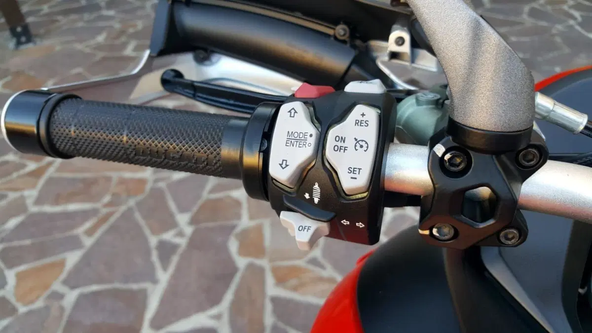 Ducati Multistrada 1260 S (2018 - 20)  (14)