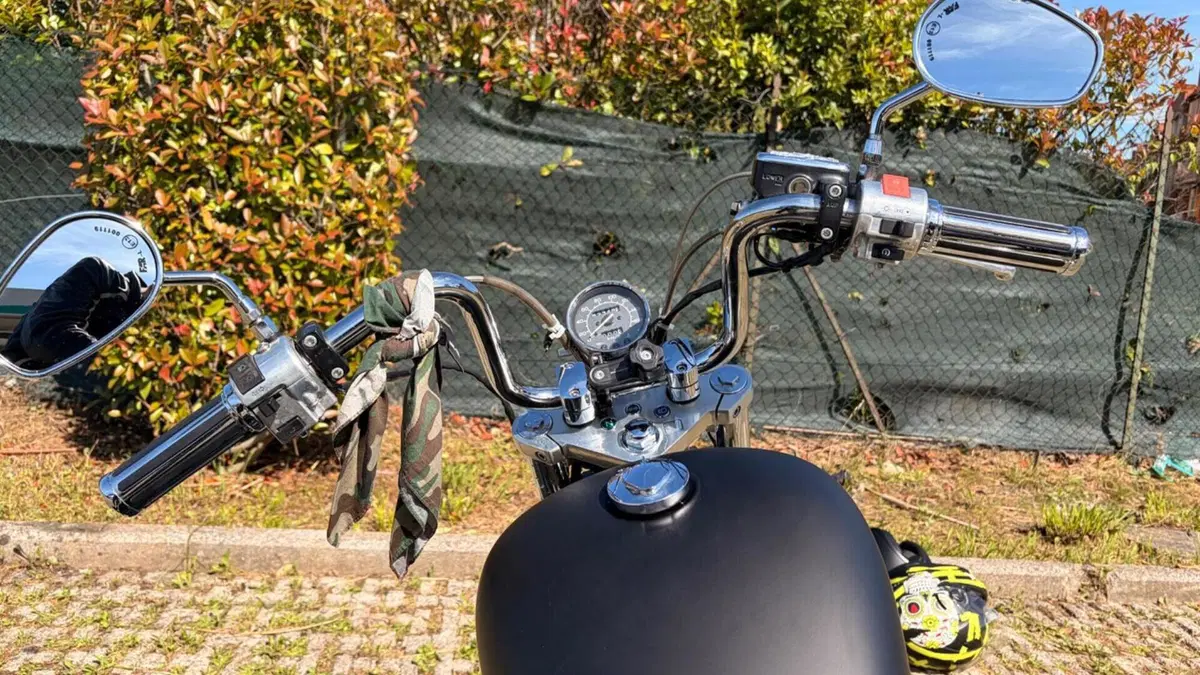 Honda VT 600 C Shadow (1989 - 02)  (8)