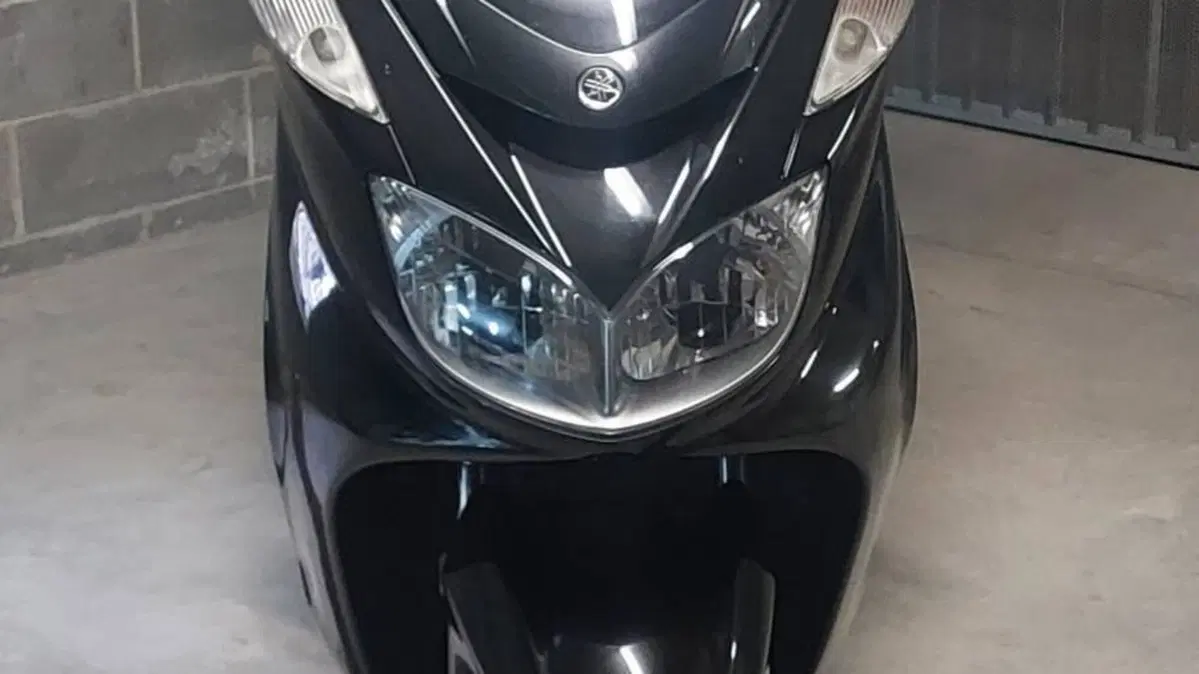 Yamaha Majesty 400 (2004 - 08)  (2)