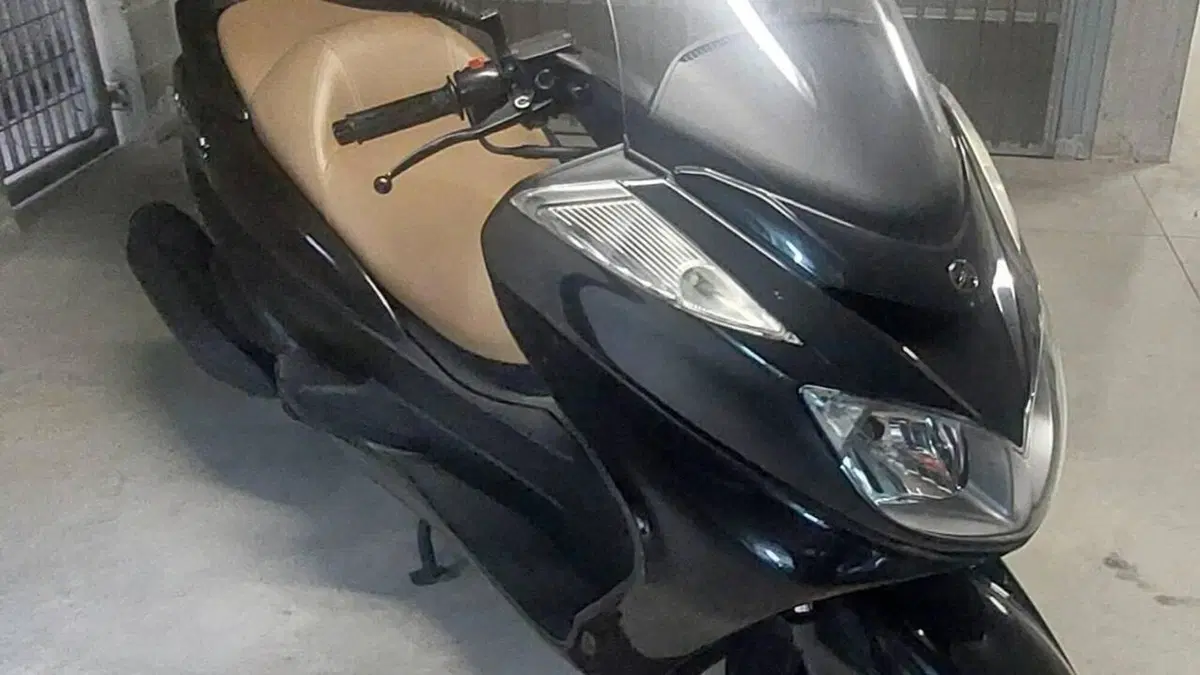 Yamaha Majesty 400 (2004 - 08)  (3)