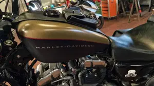 Harley-Davidson XL 1200N Nightster (2008 - 12)  (4)
