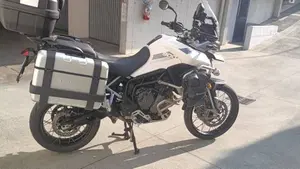 Triumph Tiger 900 Rally Pro (2020 - 23)  (4)