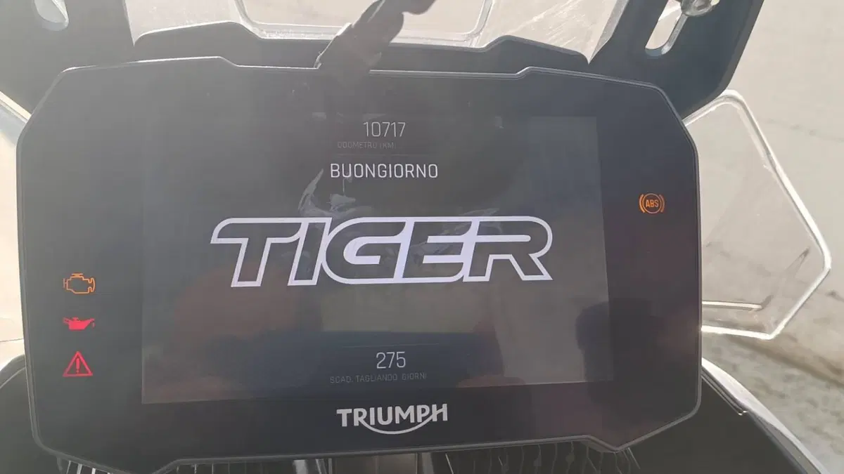 Triumph Tiger 900 Rally Pro (2020 - 23)  (6)