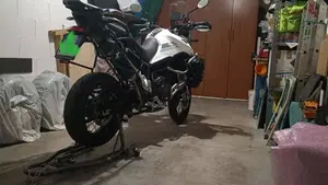 Triumph Tiger 900 Rally Pro (2020 - 23)  (8)