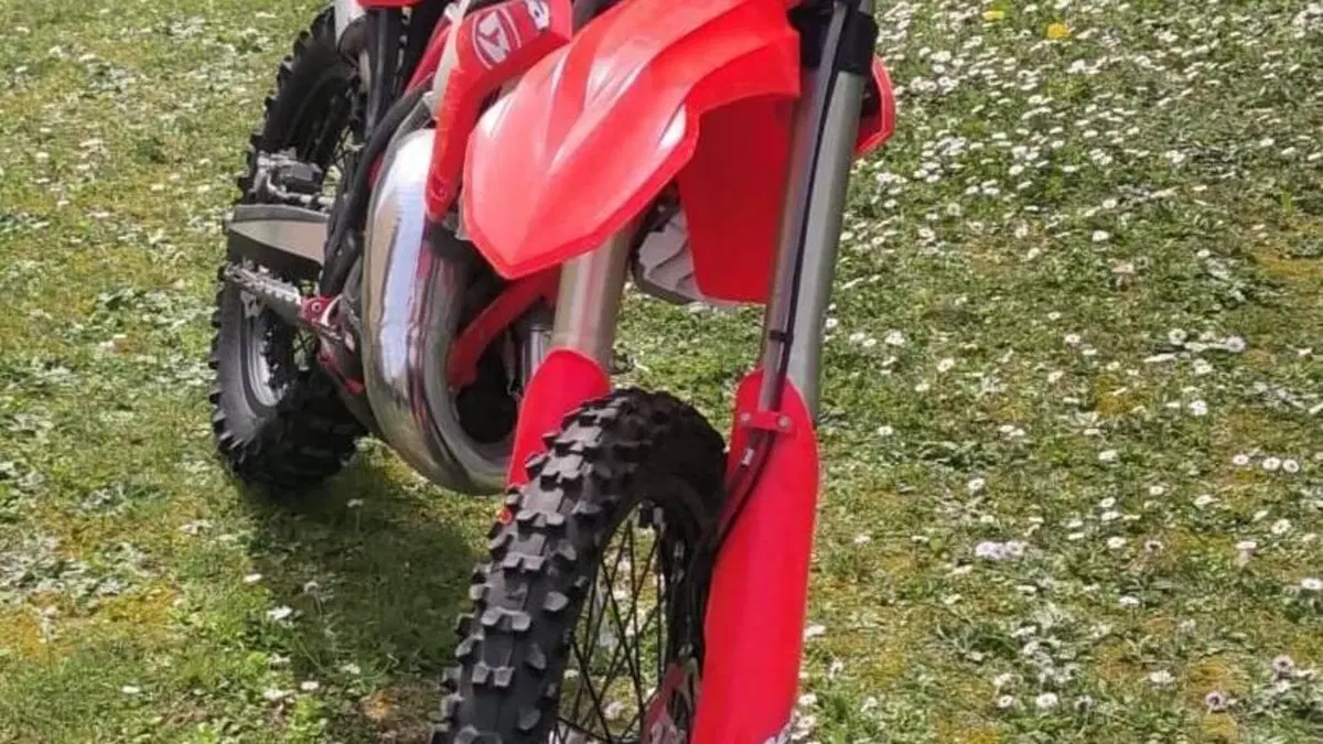 Betamotor RR 125 2T Enduro (2023)  (5)