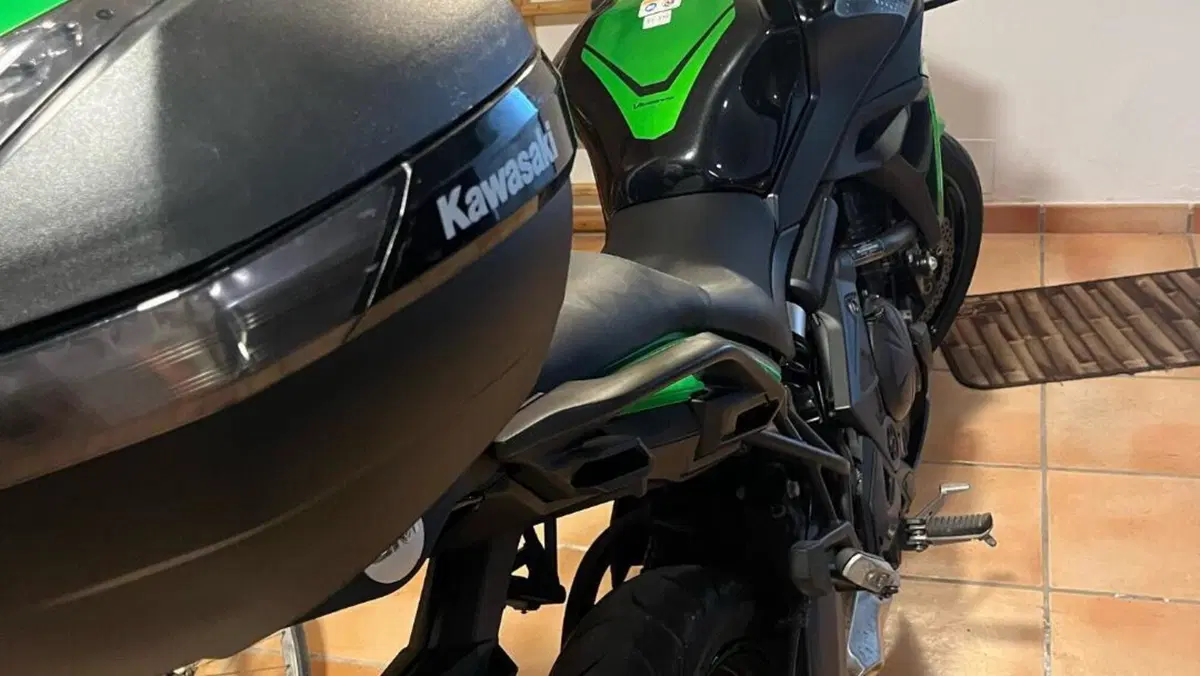 Kawasaki Versys 650 (2021 - 24)  (2)
